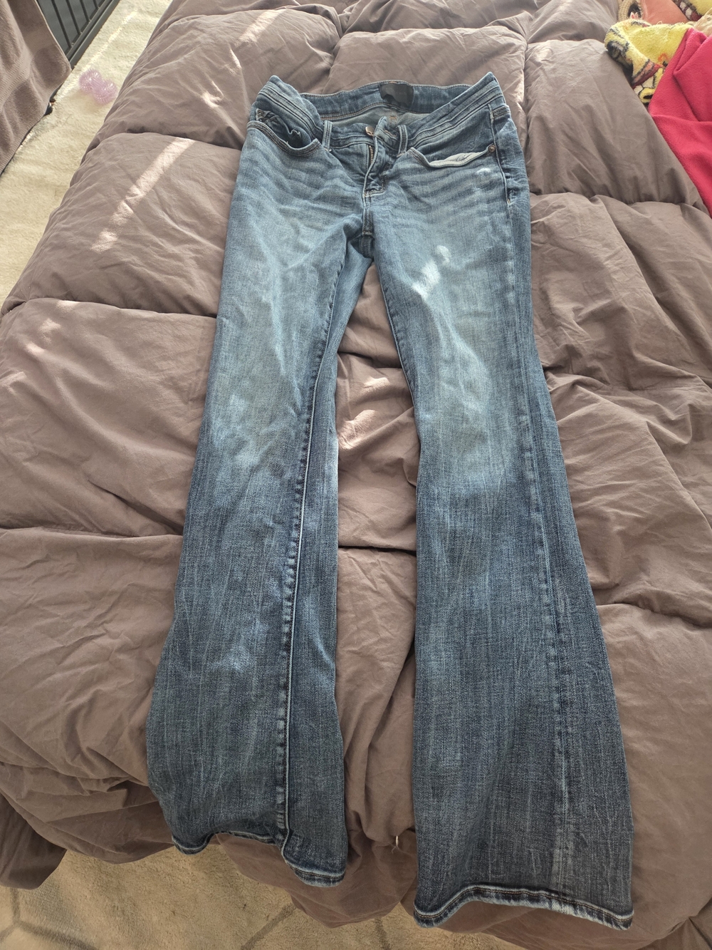 Buckle Black Women's Mid-Rise Blue Bootcut Jeans